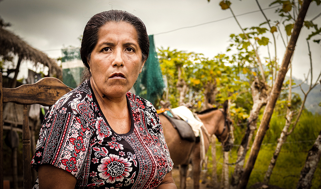 Martha Margarita Alvia Barre